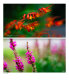 Объектив 7artisans 50mm F0.95 Micro 4/3 - Изображение 166408
