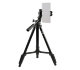 Штатив Benro T560 + MH2N - Изображение 232445