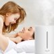 Увлажнитель воздуха Deerma F628 Air Humidifier 5L (RU) Белый - Изображение 113830