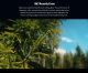 Объектив Sirui Jupiter 50mm T2 Full-frame Macro PL-mount - Изображение 189148