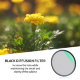 Светофильтр K&F Concept Nano-X Black Mist 1/1 67мм - Изображение 165967