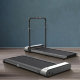 Беговая дорожка WalkingPad R1 Pro Global Серебро - Изображение 156076