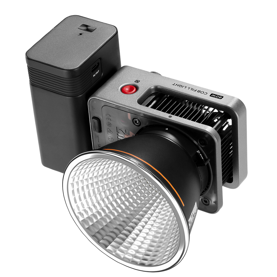 Осветитель Zhiyun MOLUS X60 Combo 