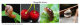 Объектив Apexel 100mm Macro для смартфона - Изображение 177829