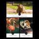 Объектив Viltrox AF 135mm F1.8 LAB FF Z-mount - Изображение 269542
