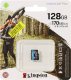 Карта памяти Kingston microSDXC 128Gb V30 UHS-I U3 - Изображение 134611