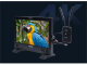 Видеосендер - интерком Feelworld WTRH (HDMI) - Изображение 299920
