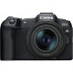 Беззеркальная камера Canon EOS R8 Kit (RF 24-50mm f/4.5-6.3 IS STM) - Изображение 230085
