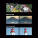 Объектив Apexel TeleCular 3 20–60X Telephoto для смартфона - Изображение 285276