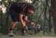Рукоятка Tilta с управлением для DJI RS 2 - Изображение 152485