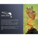 Осветитель DigitalFoto TREE FROG (Уцененный кат.Б) - Изображение 190677