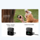 Экшн-камера DJI Osmo Nano Standard Combo 64GB - Изображение 284024