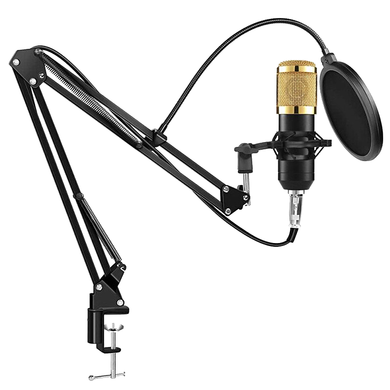 Микрофон YNMCE BM-800 Золото 