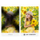 Светофильтр K&F Concept C-series CPL/ND2-32/Black Diffusion 1/4 67мм - Изображение 268357