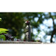 Светофильтр Freewell ND16/PL для DJI Osmo Pocket 3 - Изображение 236193