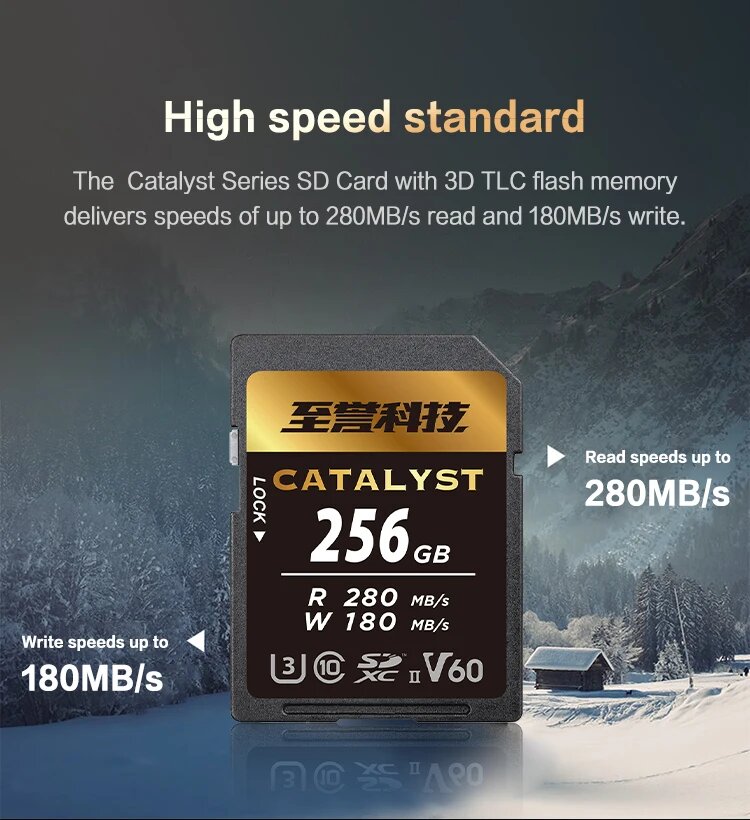 Карта памяти Exascend Catalyst UHS-II SD V60 256GB