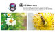 Комплект объективов Apexel 18x Telephoto 5-in-1 Kit для смартфона (Уцененный кат.Б) - Изображение 292590