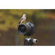Беззеркальная камера Canon EOS R6 Mark III Body - Изображение 284156