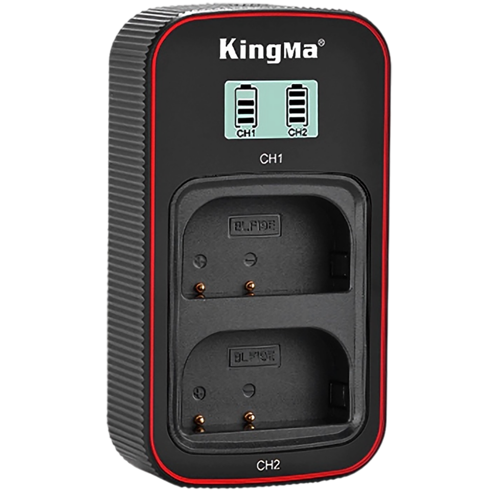 Зарядное устройство KingMa Dual Battery Charger для DMW-BLF19 