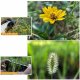 Объектив Ulanzi 75mm Macro для смартфона - Изображение 140554