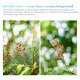 Объектив 7Artisans Lite AF 25mm F1.8 APS-C X-mount - Изображение 289249