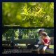 Объектив Thypoch Voyager 24-50mm F2.8 AF E-mount - Изображение 293210