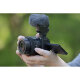 Беззеркальная камера Sony ZV-E10 II Kit Чёрная (Sony E PZ 16-50mm f/3.5-5.6 OSS II) - Изображение 261508