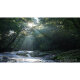 Объектив Sony FE 35mm F1.4 GM - Изображение 276408