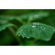 Объектив Sigma AF 20-200mm f/3.5-6.3 DG Contemporary E-mount - Изображение 297741