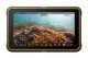 Монитор - рекордер Atomos Ninja - Изображение 253087