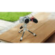 Клетка Tilta Base Kit для Canon R50 V Серебро - Изображение 279851