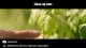Объектив Sirui Venus 75mm T2.9 1.6x Full-Frame Anamorphic Z-mount - Изображение 185598