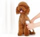 Машинка для стрижки животных Pawbby Pet Shaver - Изображение 164132