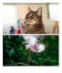 Объектив 7Artisans 50mm F0.95 E-Mount - Изображение 166374